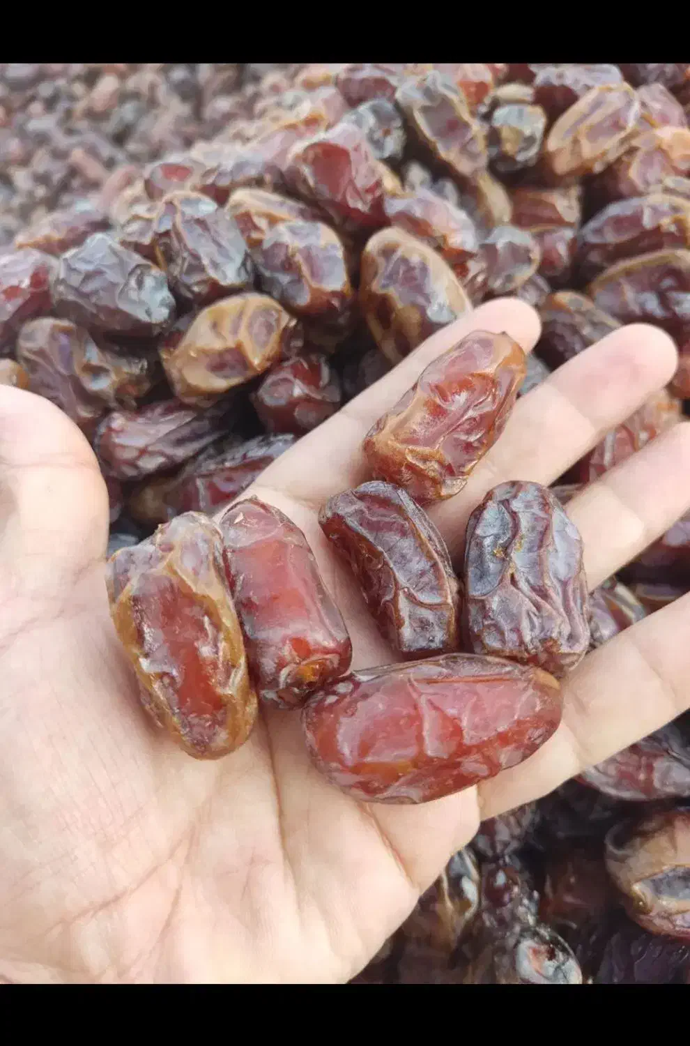خرما کبکاب درجه ۱|خوردنی و آشامیدنی|برازجان, |دیوار