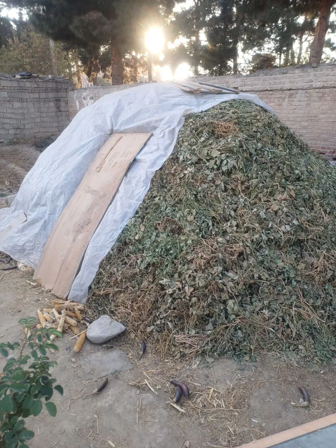 علوفه گاو وگوسفند|لوازم جانبی حیوانات|کرج, شهرک رضوانیه|دیوار