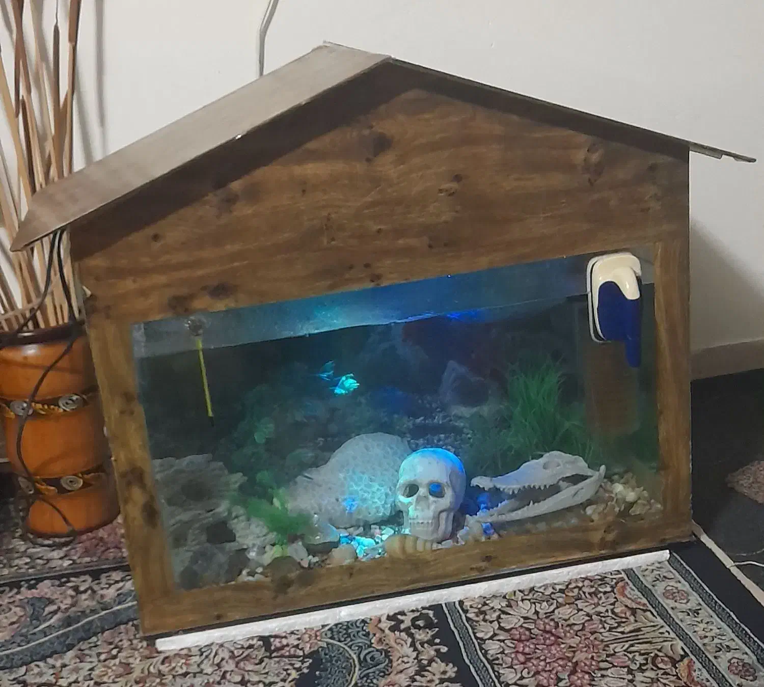 آکواریوم ماهی باتمام لوازم برقی و تزعینی|ماهی|نیشابور, مدرس|دیوار