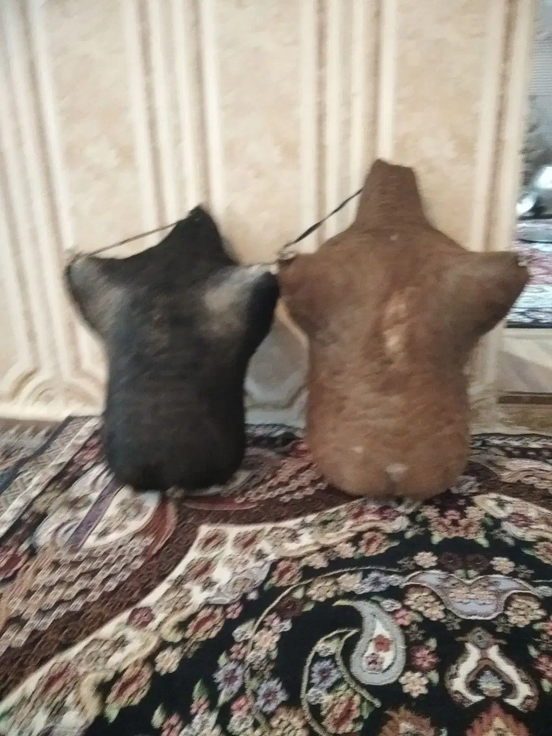 هیزه|کلکسیون و سرگرمی|دورود, |دیوار