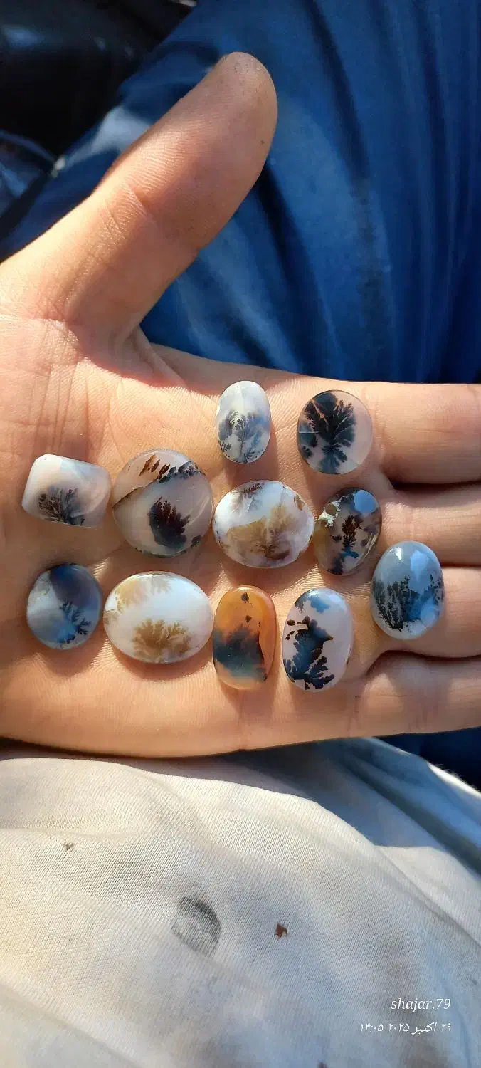 نگین شجر|جواهرات|اقبالیه, |دیوار