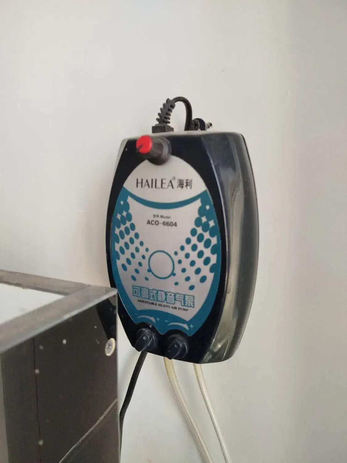 آکواریوم شیشه خم|ماهی|پاکدشت, پاکدشت (مامازند)|دیوار