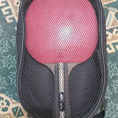 راکی پینگ پونگ|ورزشهای توپی|بندرعباس, |دیوار