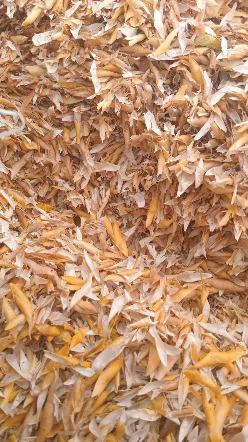 کاه لوبیا|عمدهفروشی|شهرکرد, |دیوار