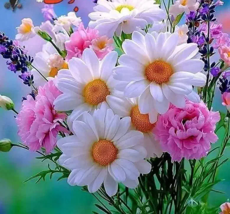 جویای کار نظافت منزل|خدمات نظافت|بندر کنگان, |دیوار