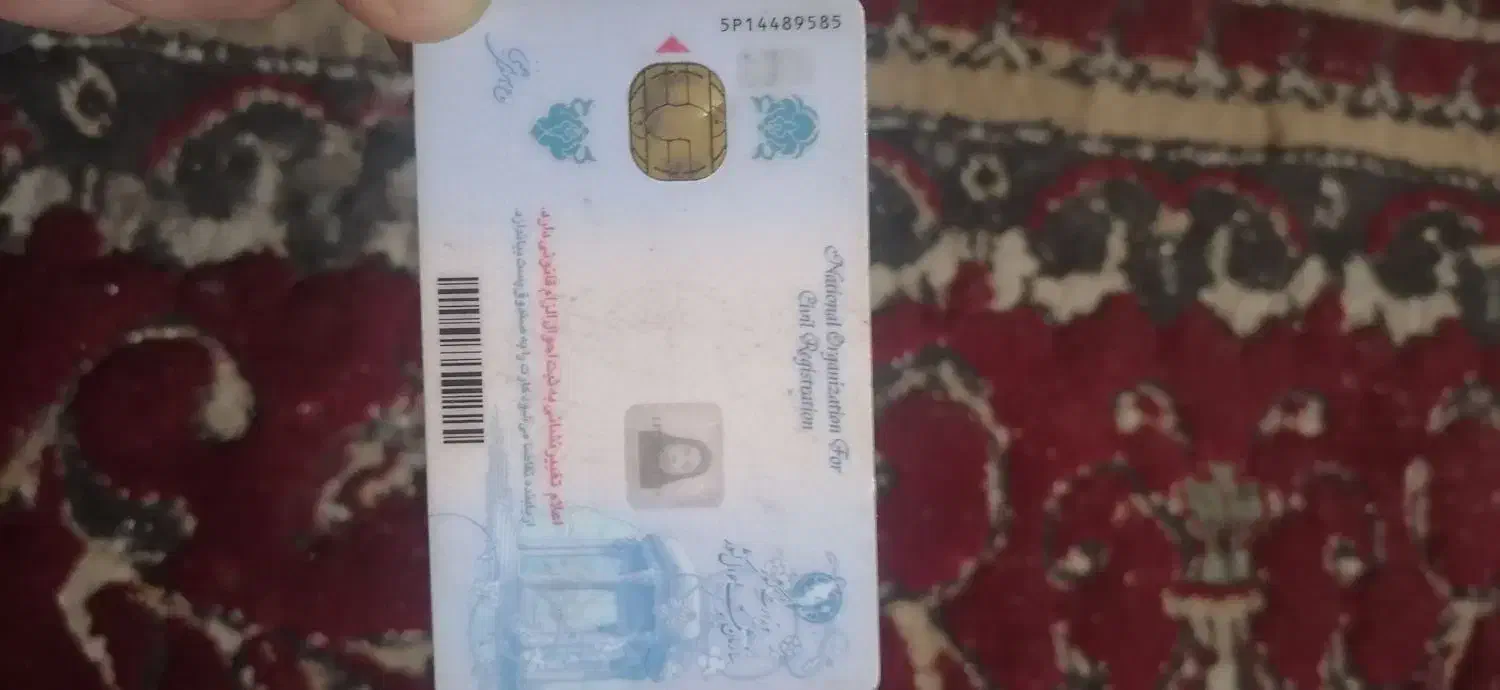 مدرک پیدا شده کارت ملی|اشیا|شیراز, شاه قلی بیگی|دیوار