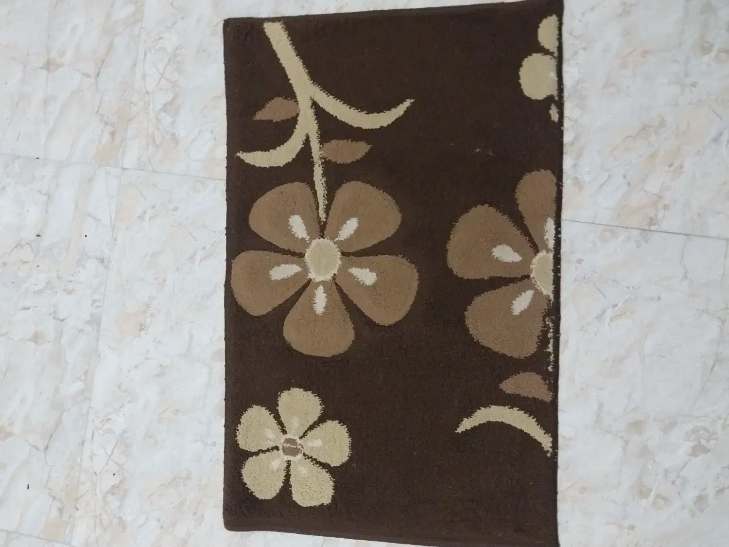 فرش ۶ متری همراه پا دری|فرش|بندر انزلی, لیچارگی حسن رود|دیوار