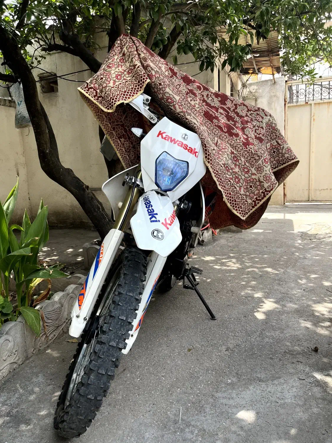 تریل250|موتورسیکلت|گنبد کاووس, |دیوار