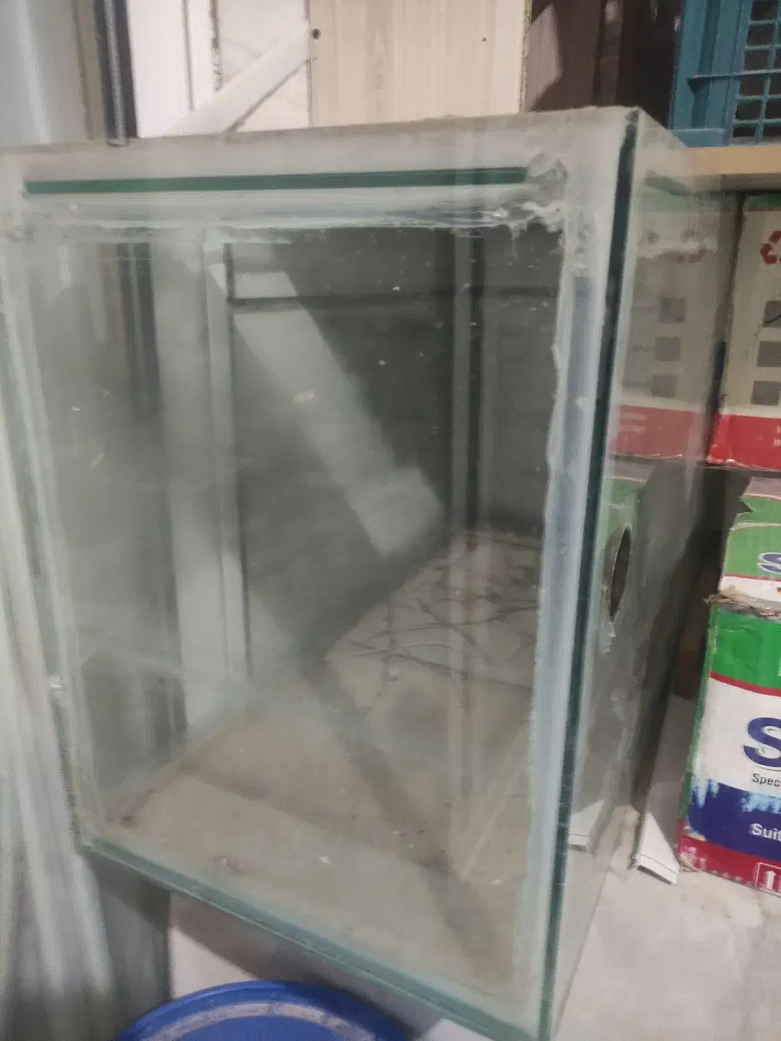 آکواریوم|ماهی|شاهینشهر, طالقانی|دیوار