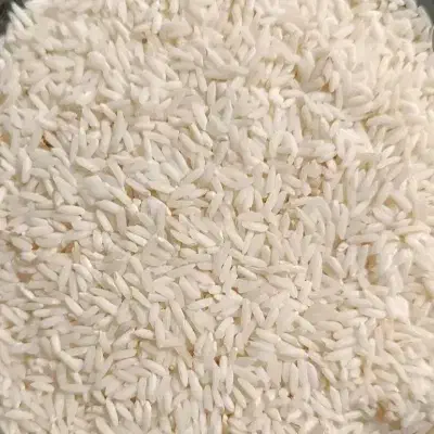 برنج علی کاظمی|خوردنی و آشامیدنی|رشت, پسیخان|دیوار