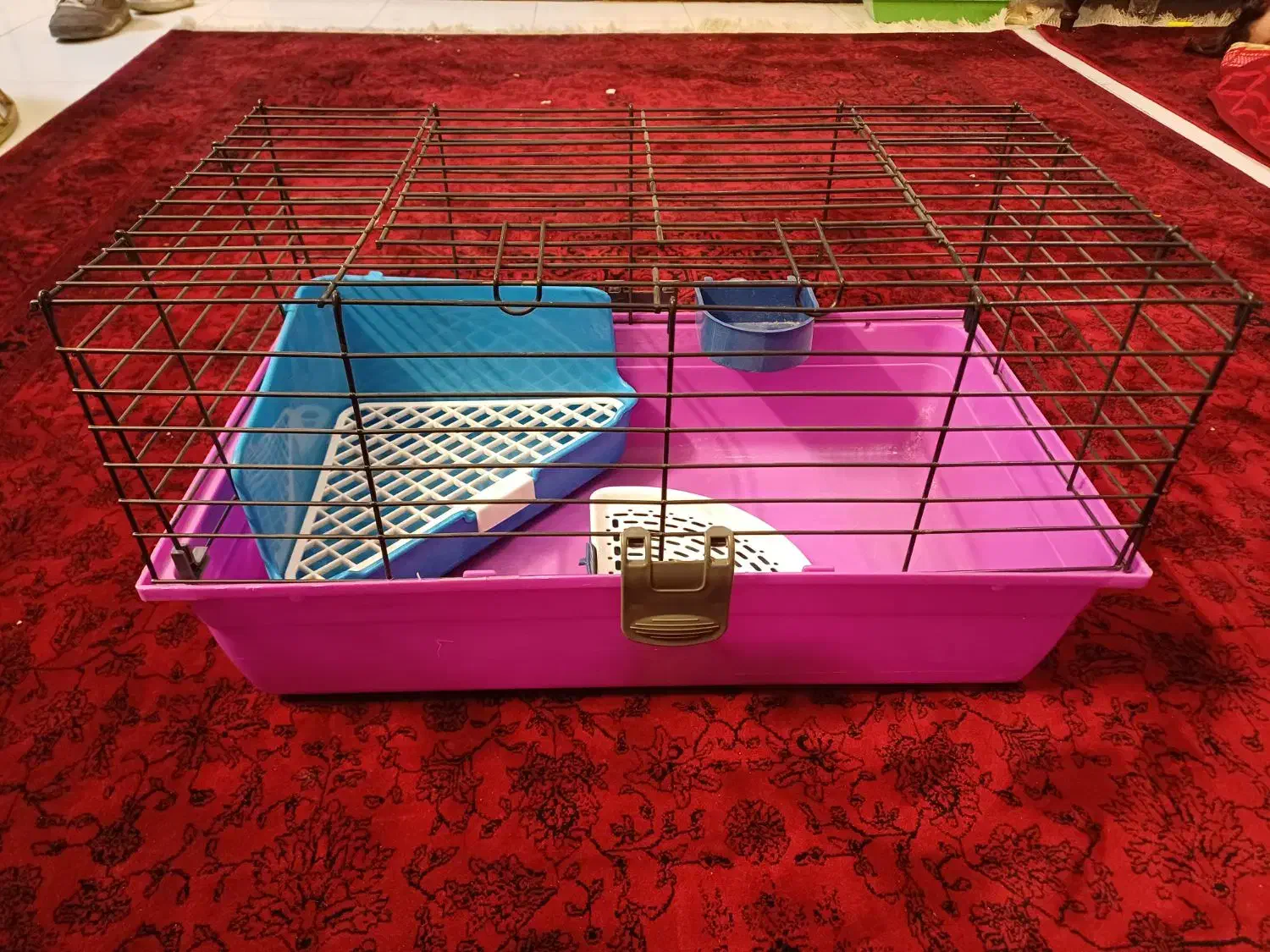 قفس خرگوش همستر خوکچه|لوازم جانبی حیوانات|فردیس, شهرک شهید حسینی|دیوار