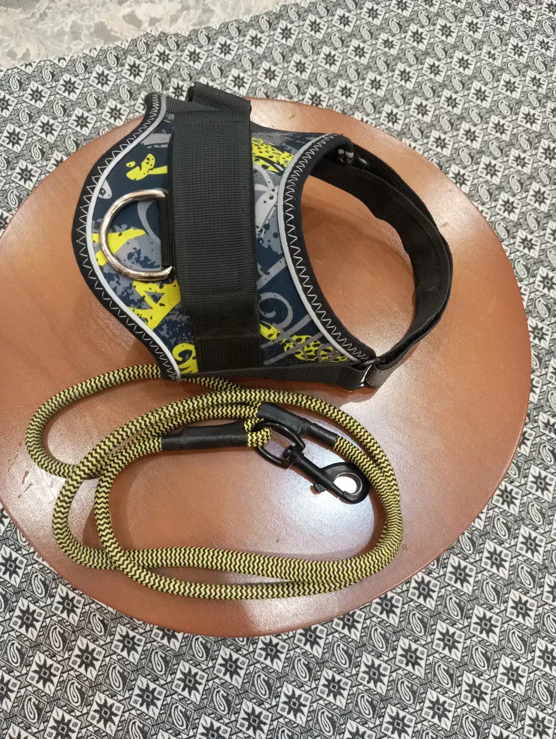 خانه سگ و قلاده و پارک سگ|لوازم جانبی حیوانات|باغستان, |دیوار