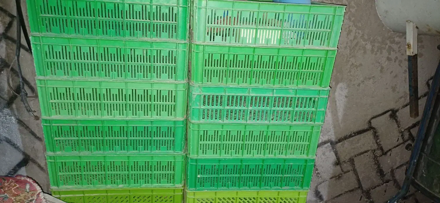 سبد جامیوه|ظروف نگهدارنده، پلاستیکی، یک‌بارمصرف|شوشتر, |دیوار