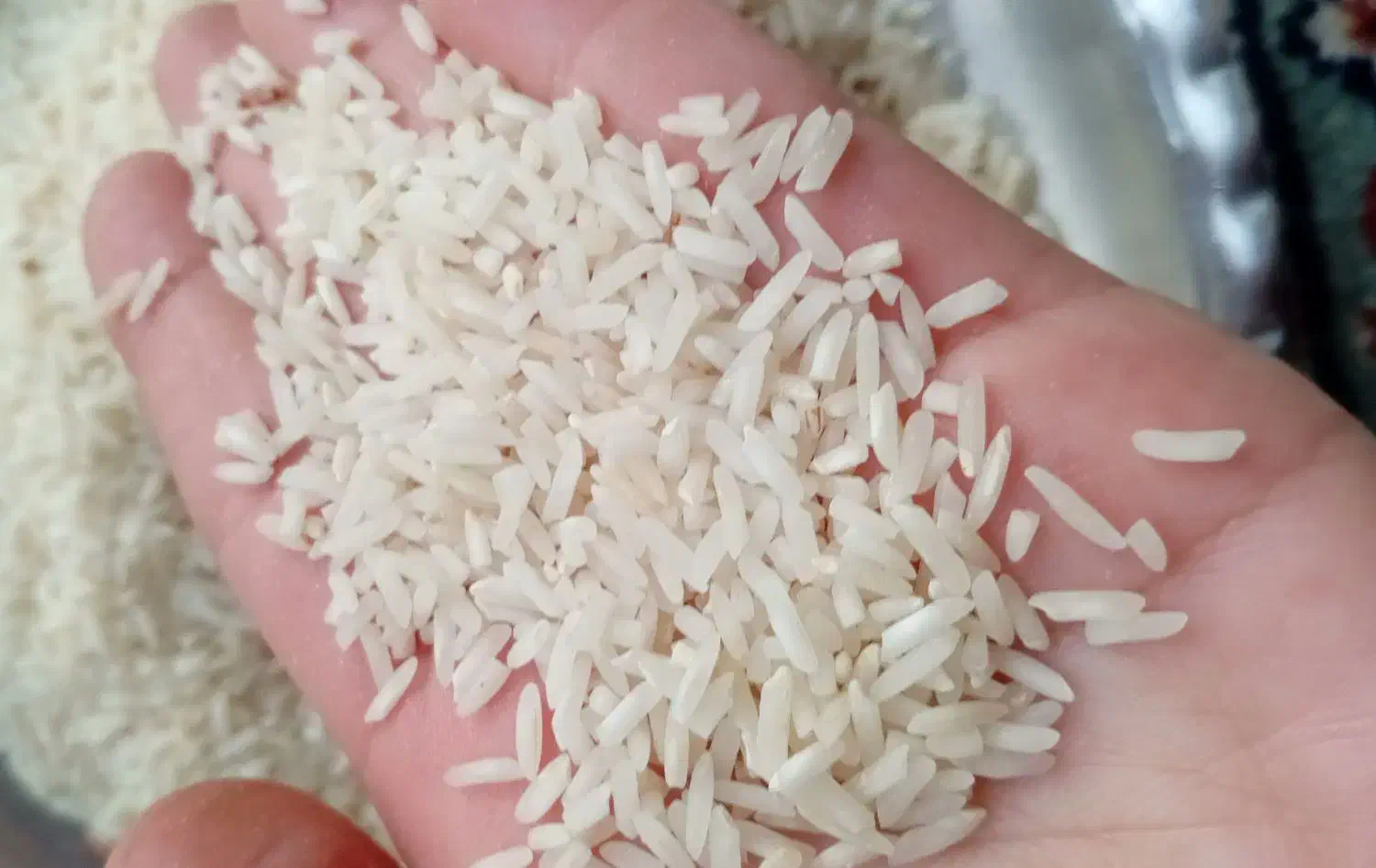 برنج طارم|خوردنی و آشامیدنی|ایلام, |دیوار
