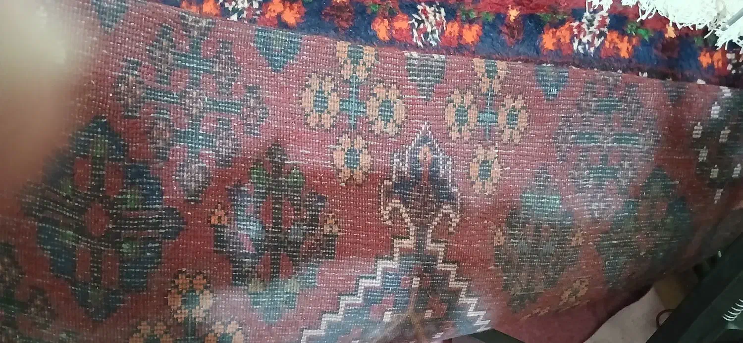 فرش دوازده متری|فرش|قم, جمکران|دیوار