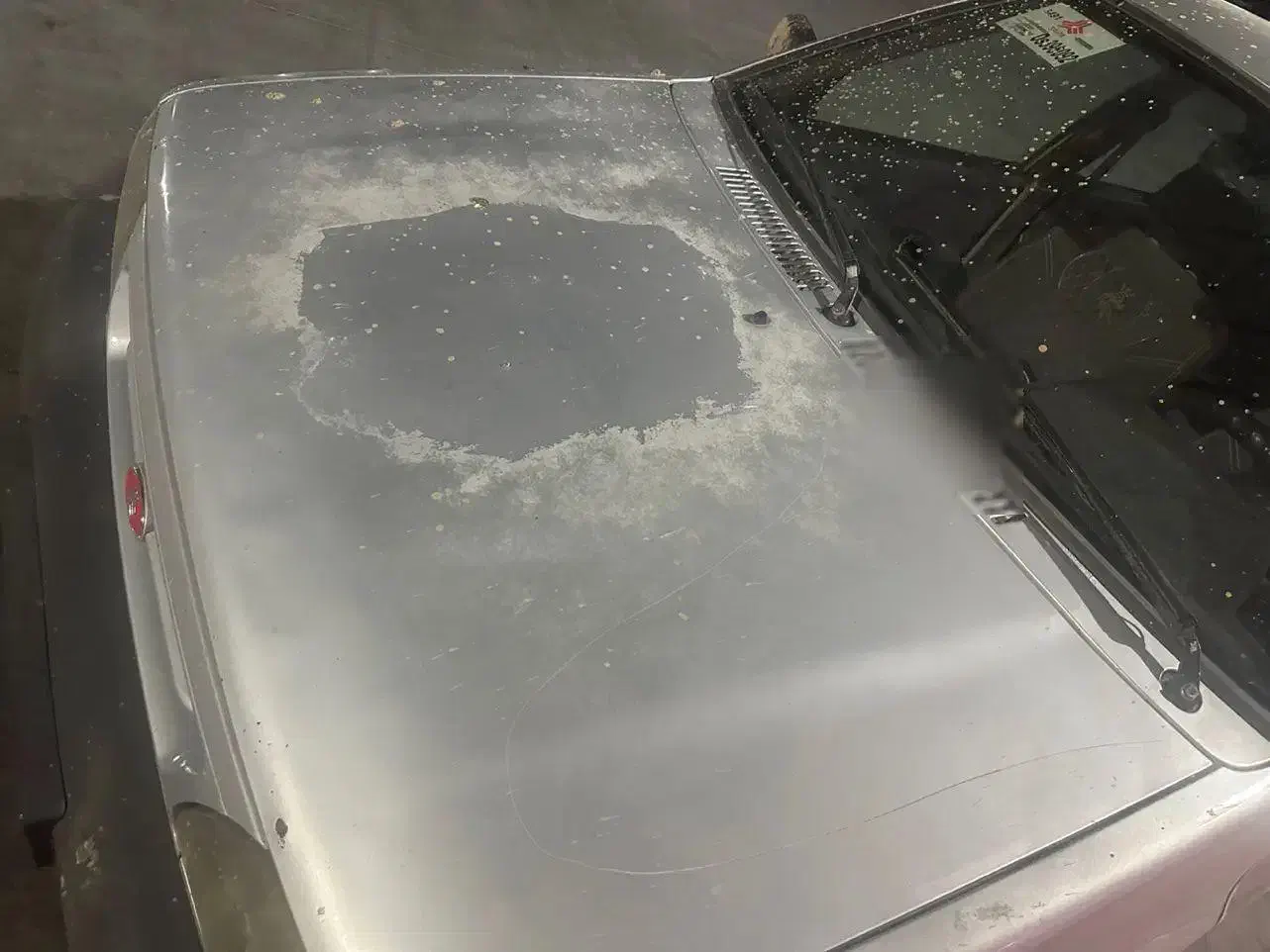 پراید ۸۹ فابریک|خودرو سواری و وانت|صدرا-فارس, فاز ۱|دیوار