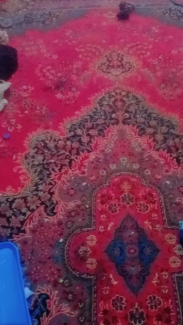 فرش|فرش|بندرعباس, |دیوار