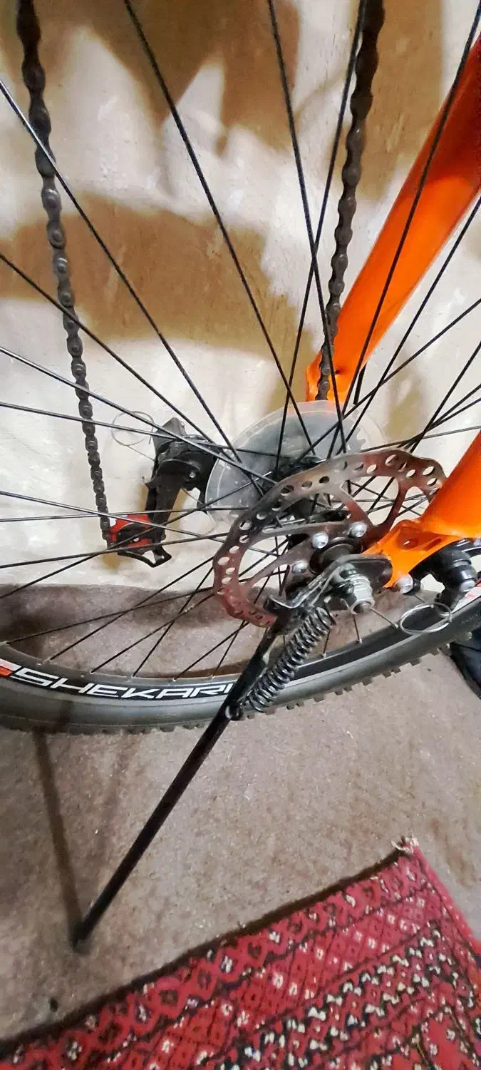 دوچرخه نو|دوچرخه، اسکیت، اسکوتر|رباطکریم, رباطکریم|دیوار