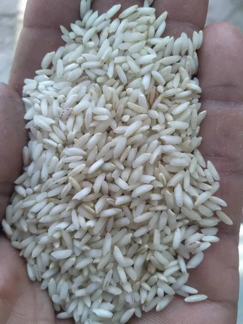 برنج عنبربو خوزستان شهرستان کرخه|عمدهفروشی|کرخه, |دیوار