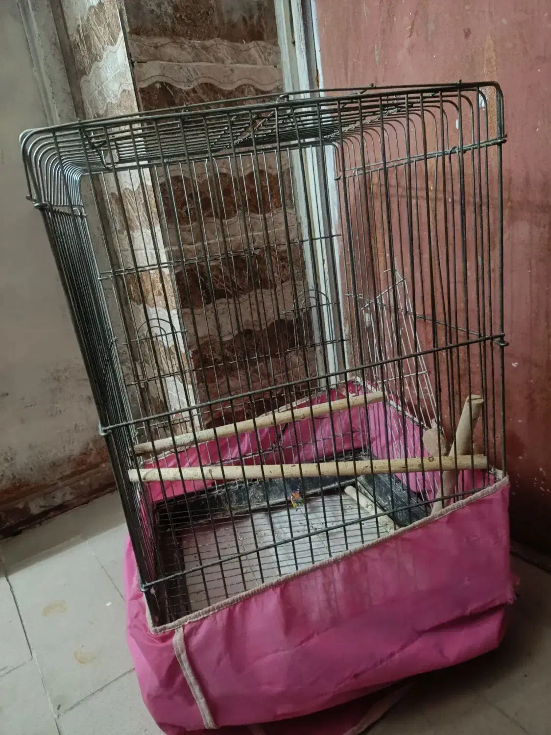 قفس پرنده|لوازم جانبی حیوانات|یزد, |دیوار