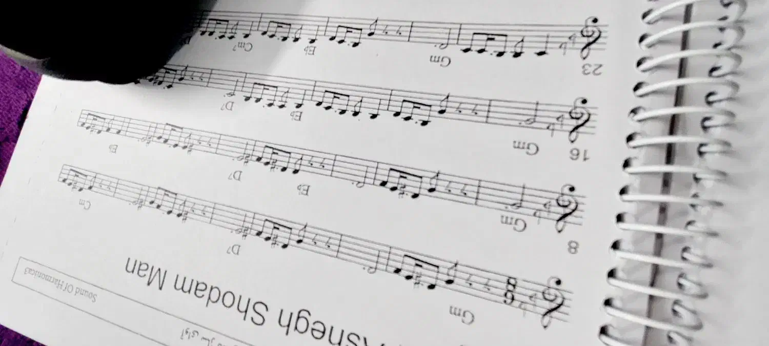 سازدهنی کروماتیک ایستاپ مدل کینگ دریم King Dream|سازهای بادی|بجنورد, |دیوار