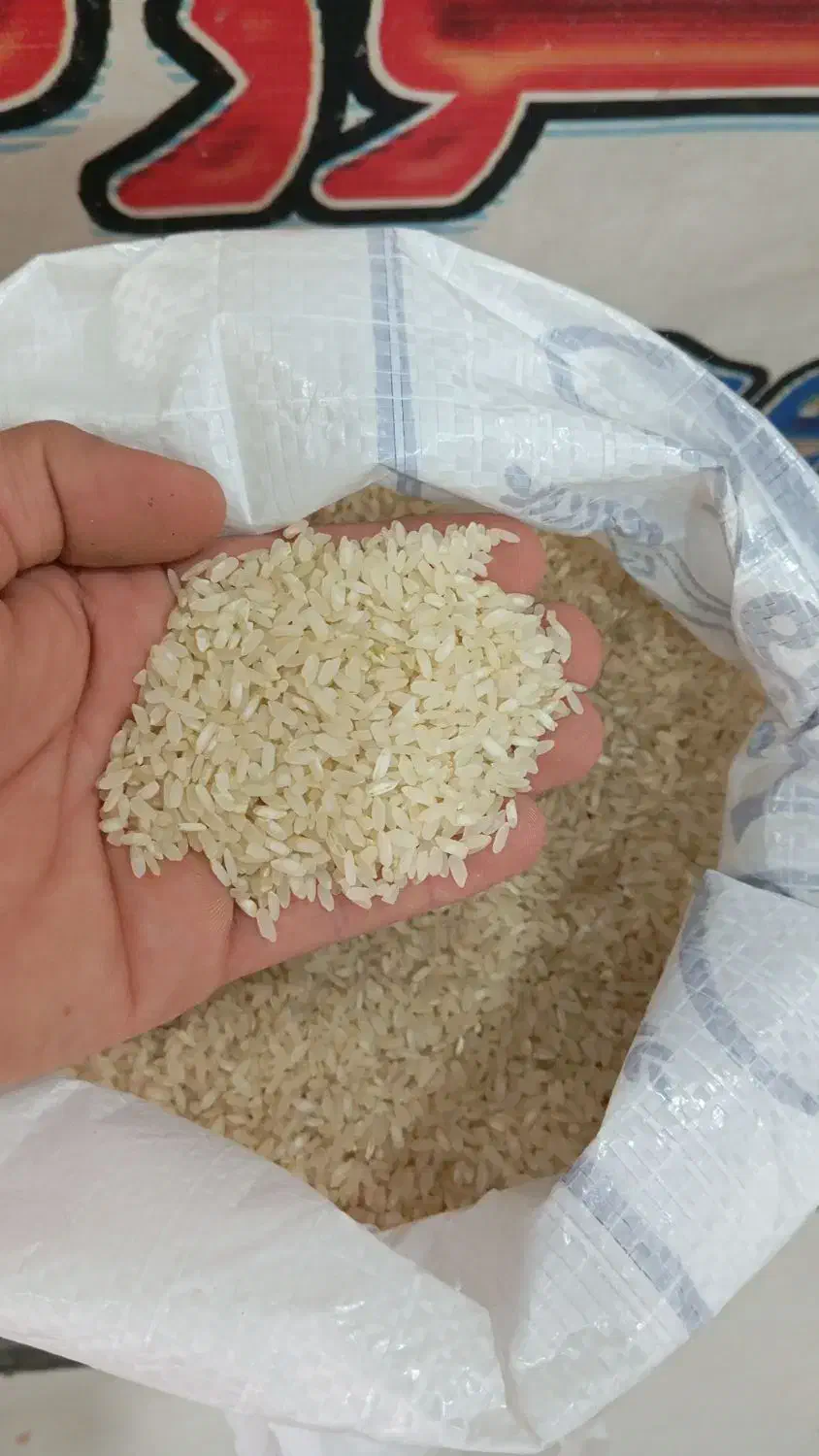 برنج کامفیروزی درجه یک|عمده‌فروشی|مرودشت, استادیوم‎|دیوار