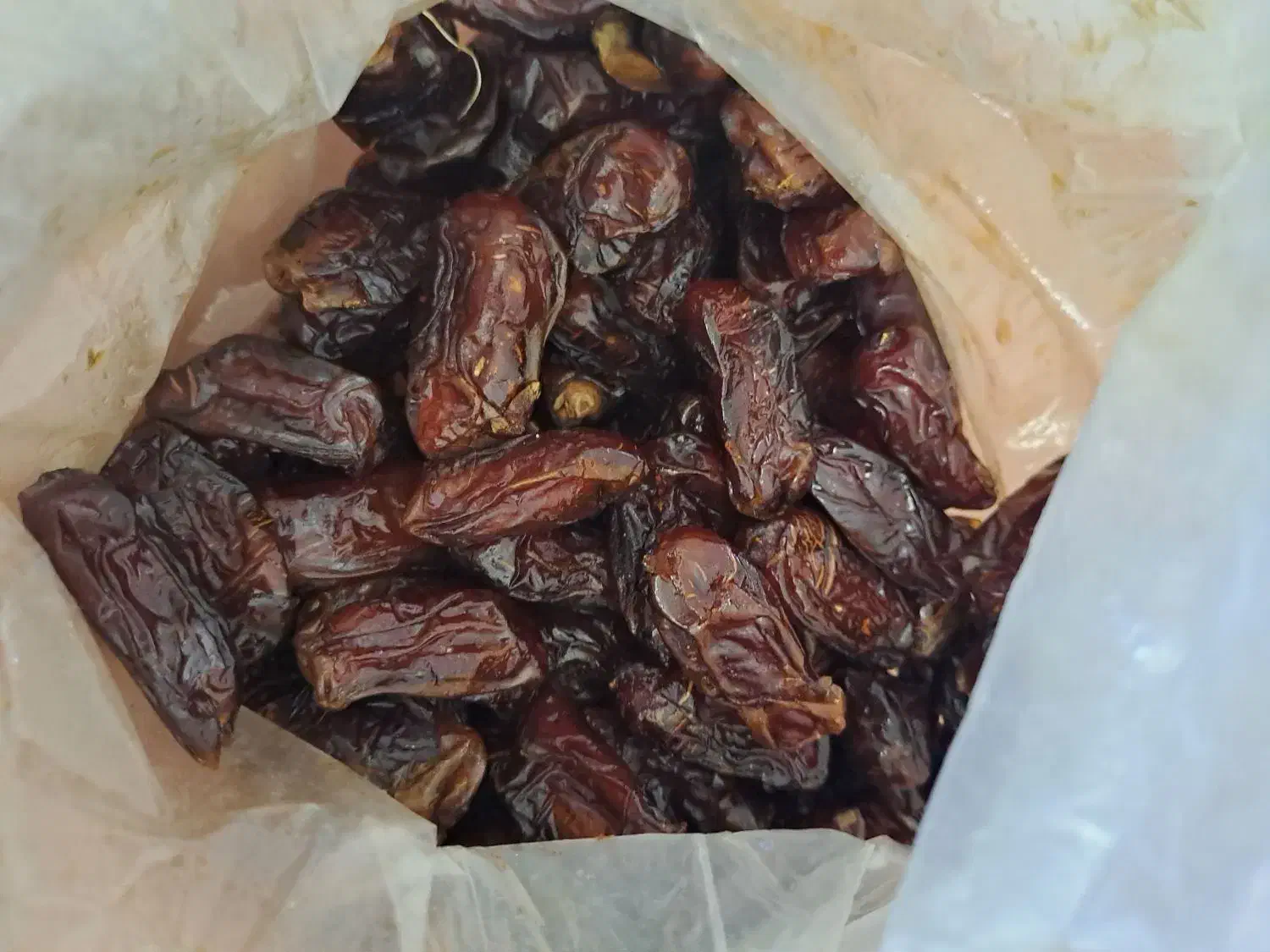 خرما سعمرون سهمرون وخرما پیارم|خوردنی و آشامیدنی|شنبه و طسوج, |دیوار