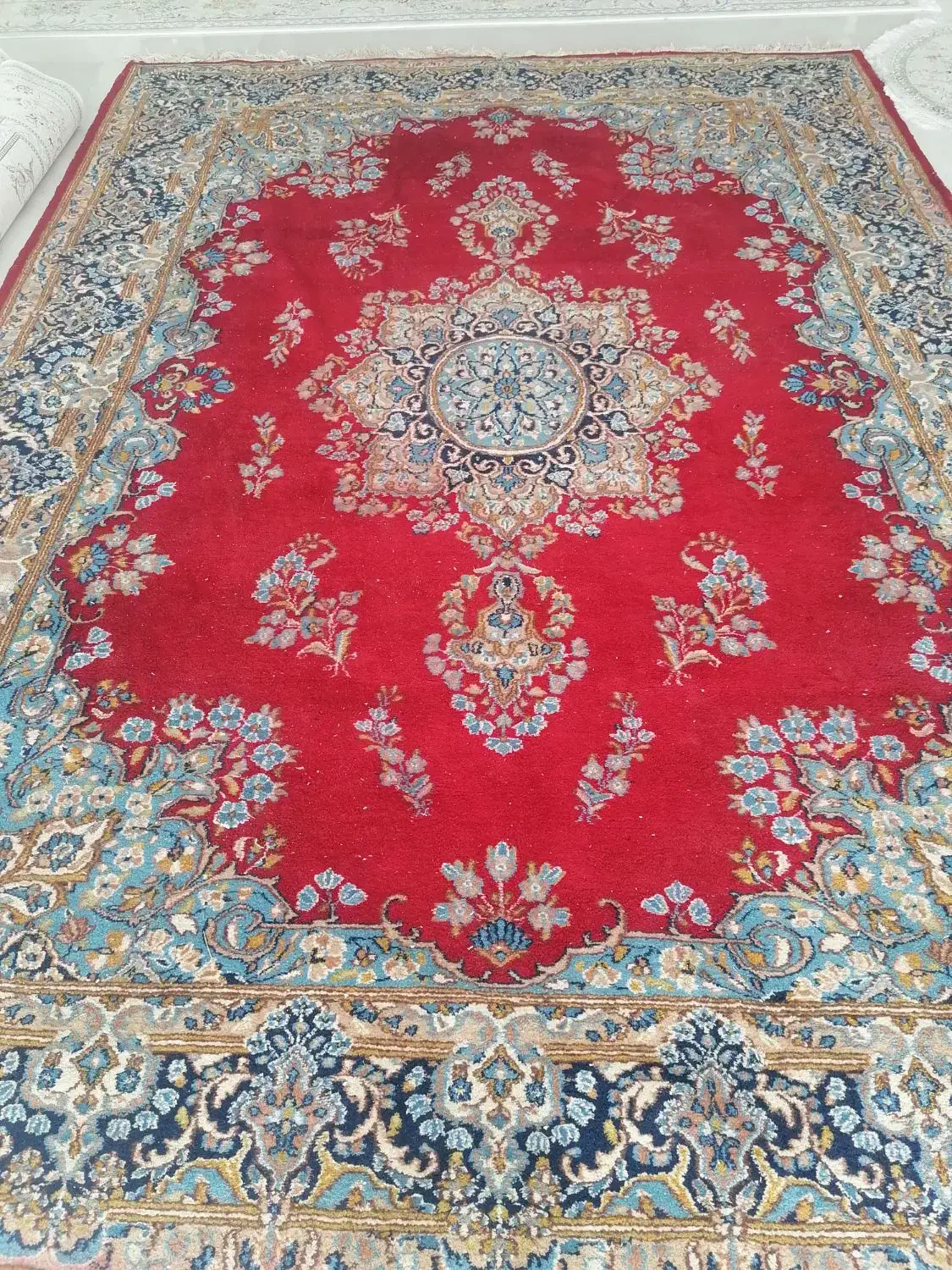 قالی کرمانی|فرش|رفسنجان, |دیوار