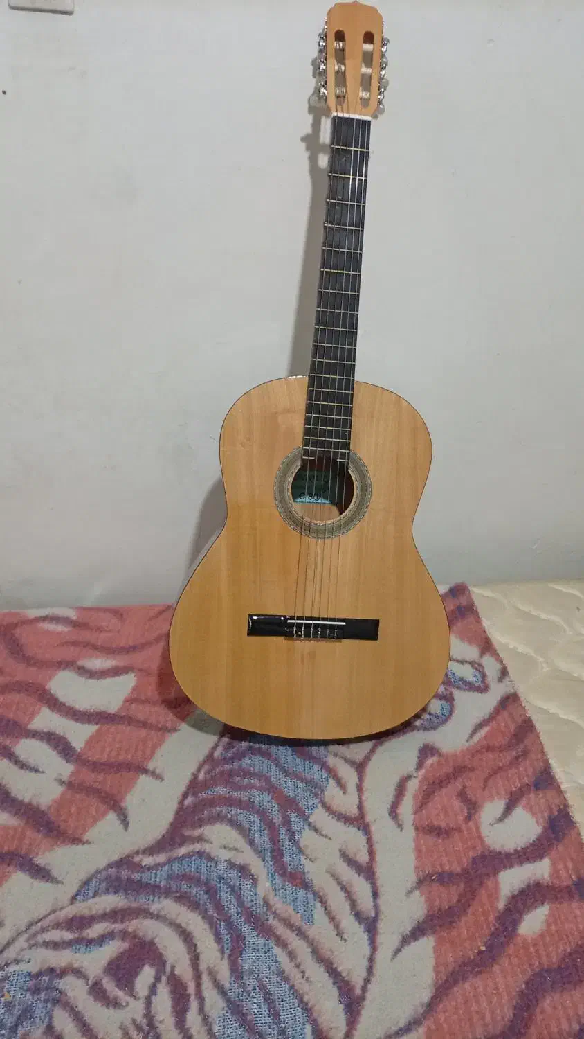 گیتار|گیتار، بیس، امپلیفایر|اقلید, |دیوار