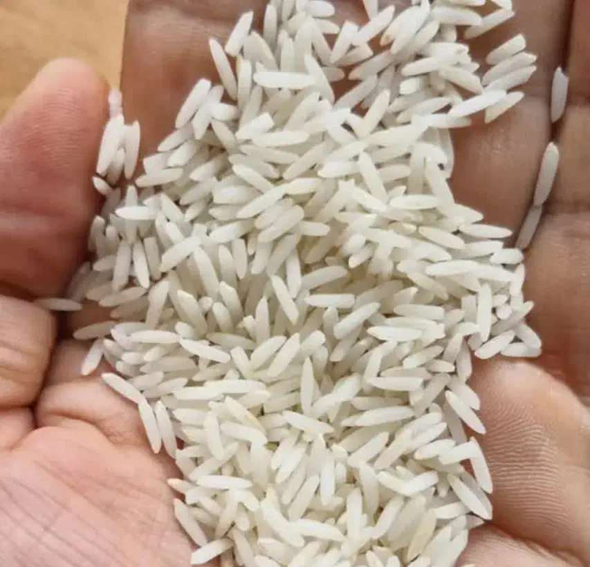 برنج دمسیاه درجه یک فارسیان|خوردنی و آشامیدنی|آزادشهر, |دیوار