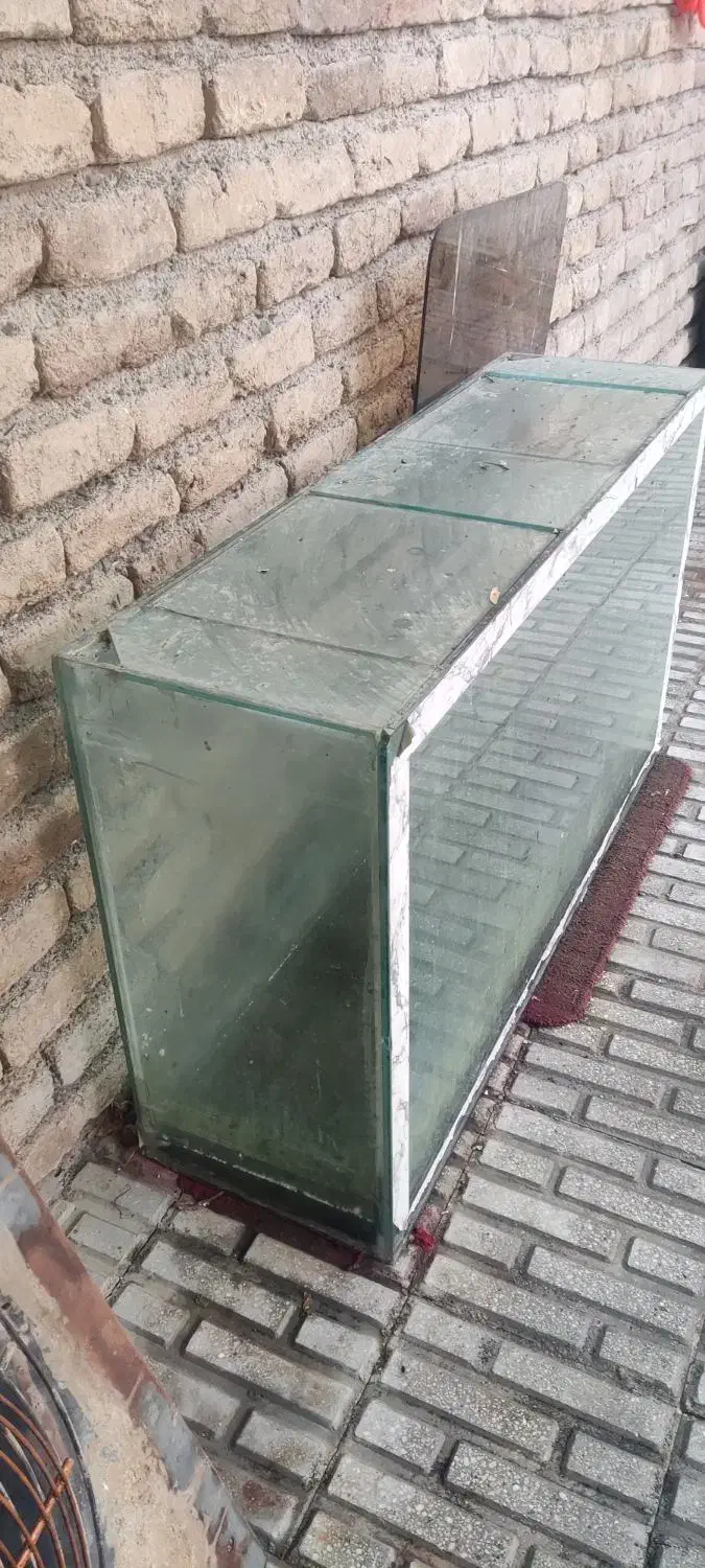 آکواریوم بزرگ شیشه ۱۰میل|ماهی|کرمانشاه, |دیوار