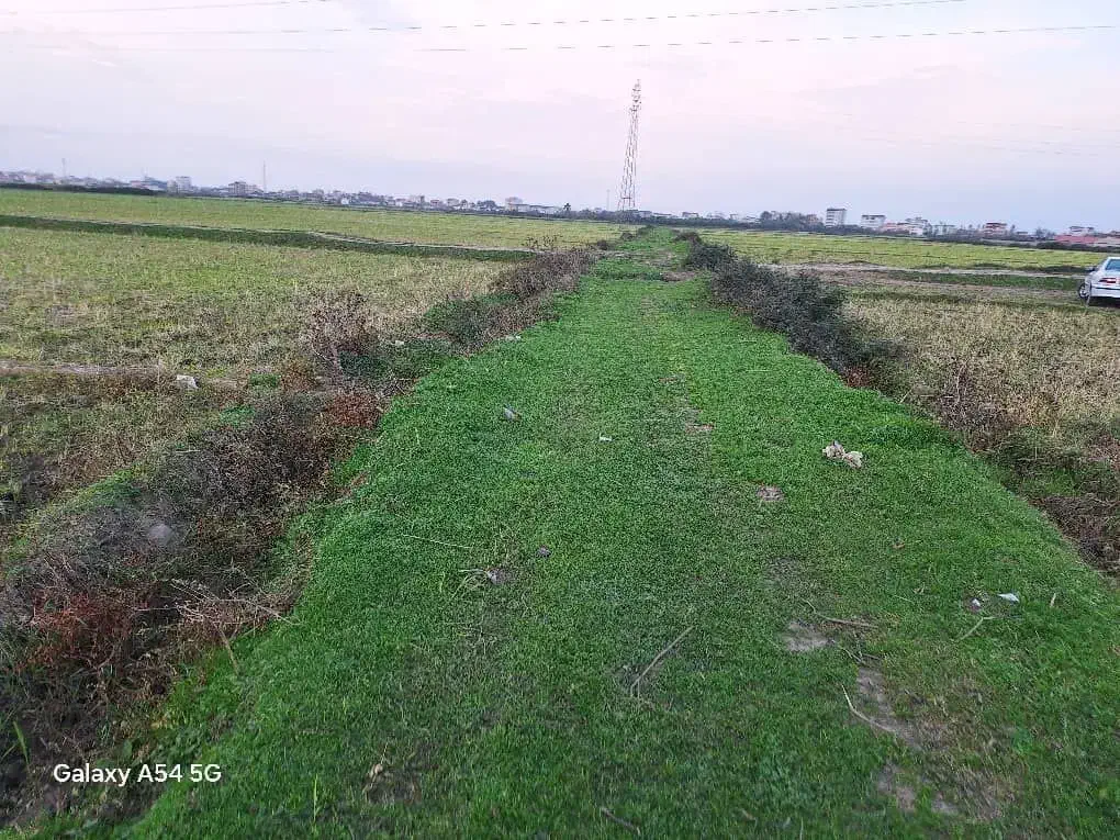 شالیزار مناسب کاشت کیوی|فروش زمین و ملک کلنگی|لوندویل, |دیوار