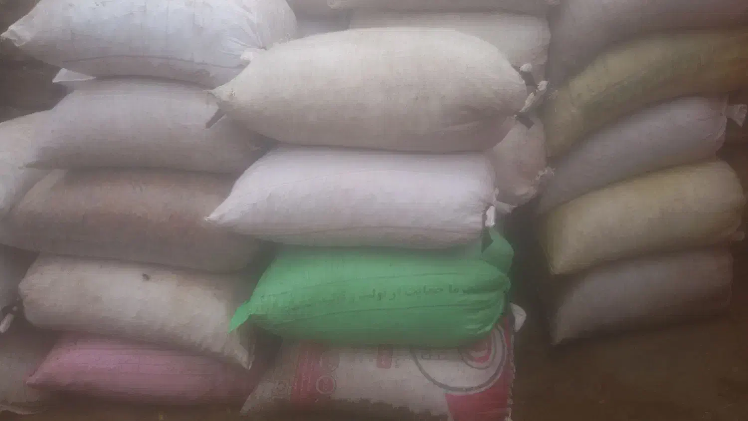 بلوط|گل و گیاه طبیعی|چگنی, |دیوار