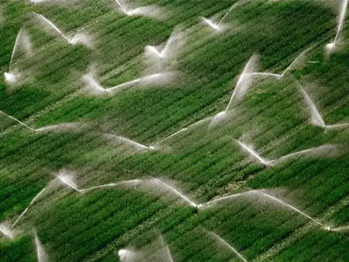 نصب و جوشکاری لوله های پلی اتیلن بارانی ابرسانی|خدمات باغبانی و درختکاری|نهاوند, |دیوار