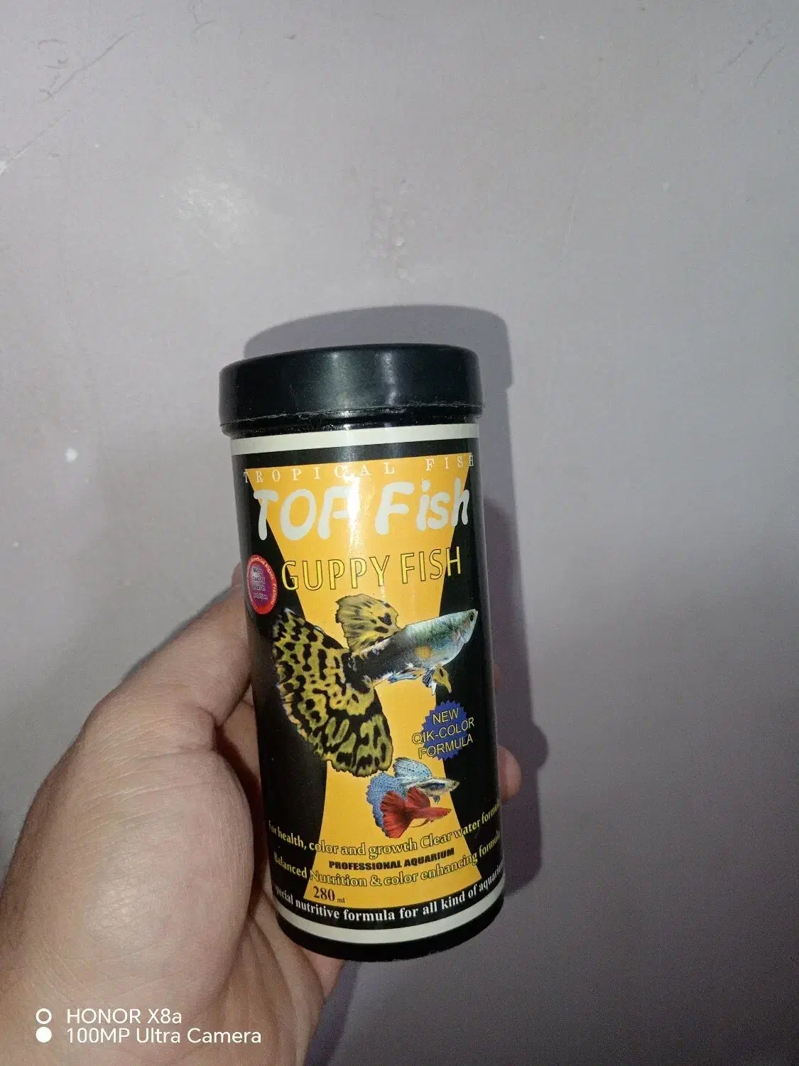 غذای ماهی|ماهی|کازرون, |دیوار