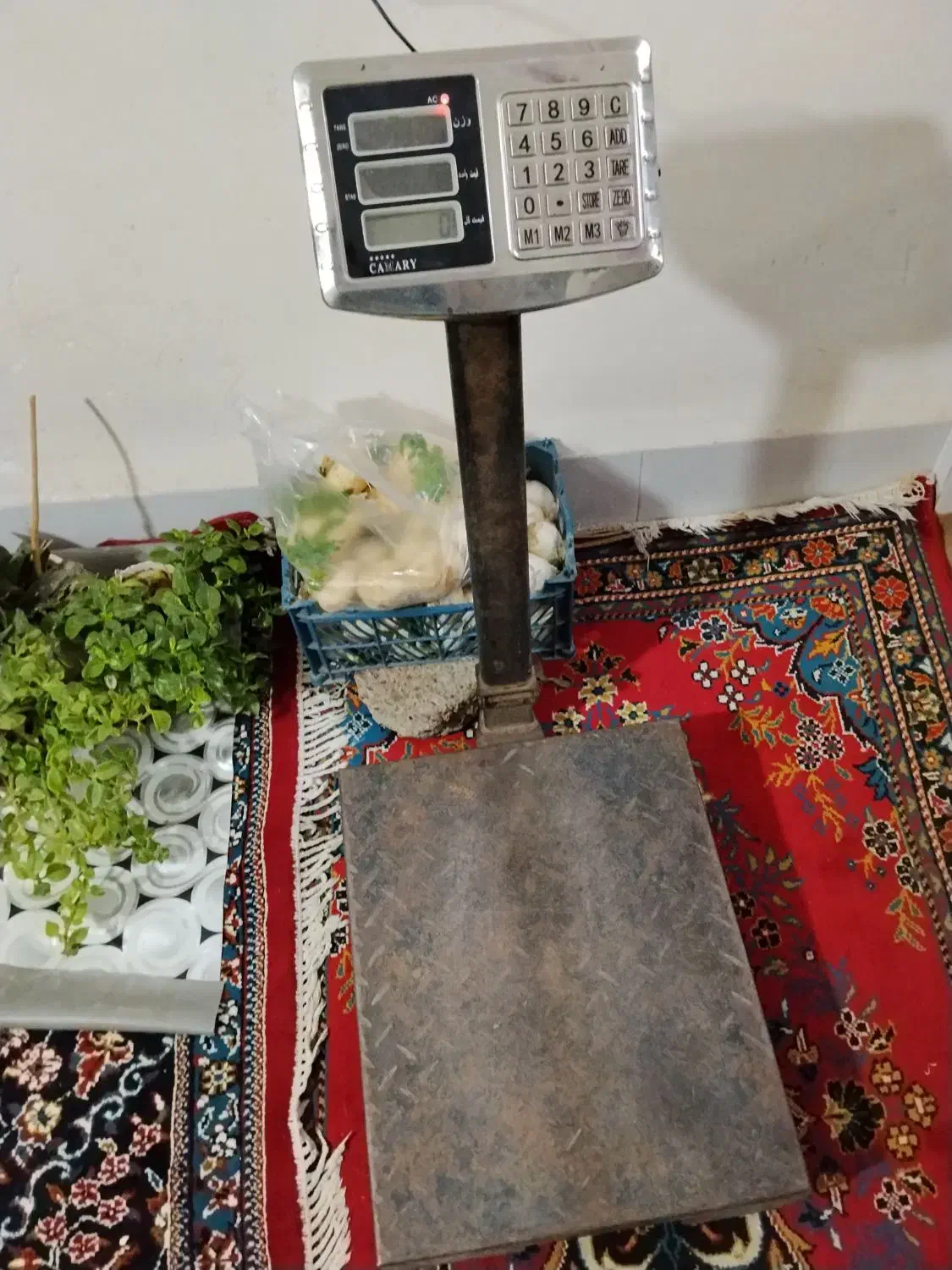 ترازو دیجیتال|فروشگاه و مغازه|تاکستان, |دیوار