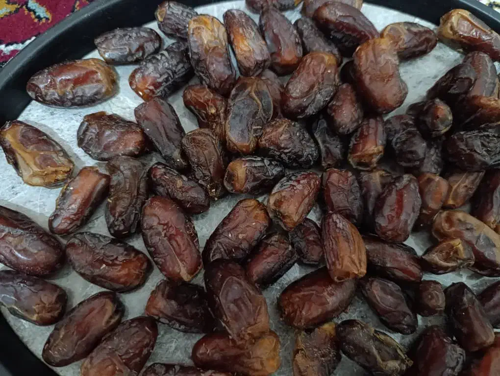 فروش خرما|حراج|خورموج, |دیوار