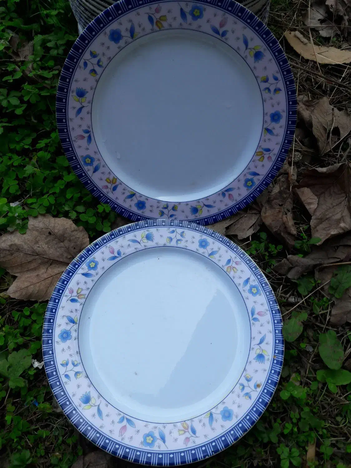 سلام ۲۸ عدد بشقاب گل آبی جدید|ظروف سرو و پذیرایی|ماکلوان, |دیوار