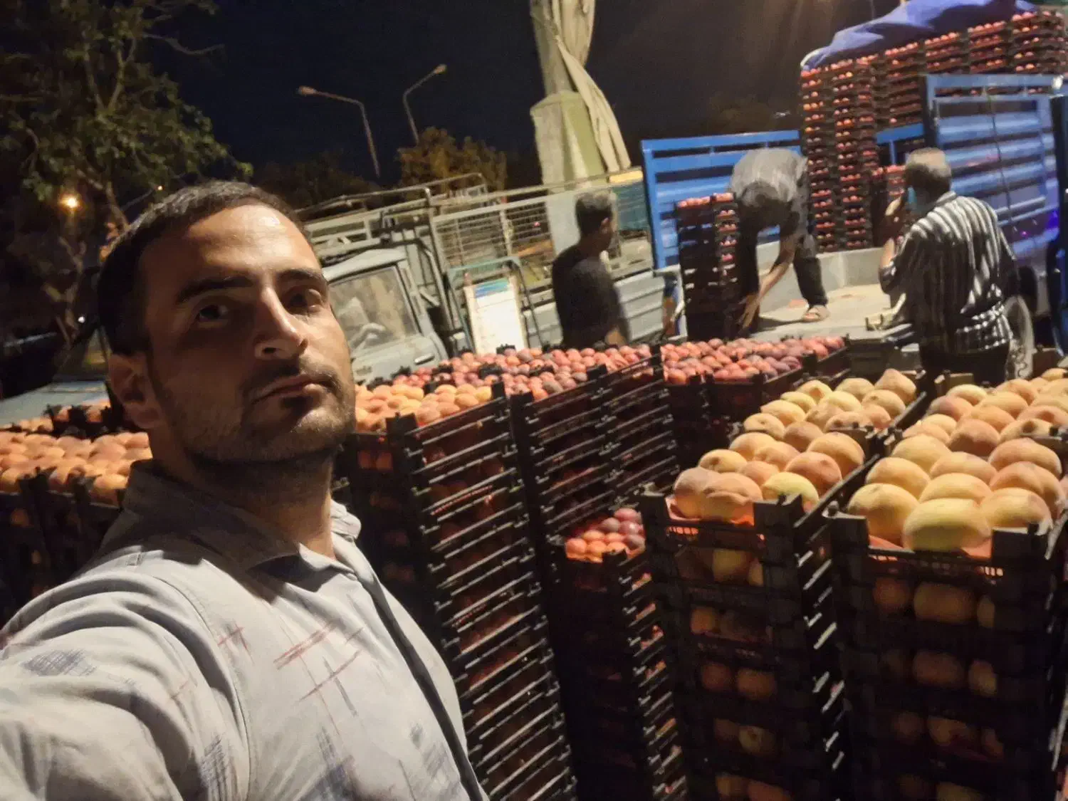 فروشکیلویی و تنی هلو|عمده‌فروشی|اصفهان, سرشبادران|دیوار