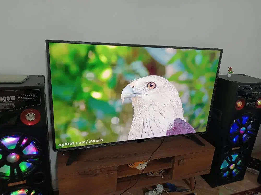 آل ای دی43اینچ سامسونگ کره سری جدید 4ماه کار|تلویزیون و پروژکتور|مشهد, امیر آباد|دیوار