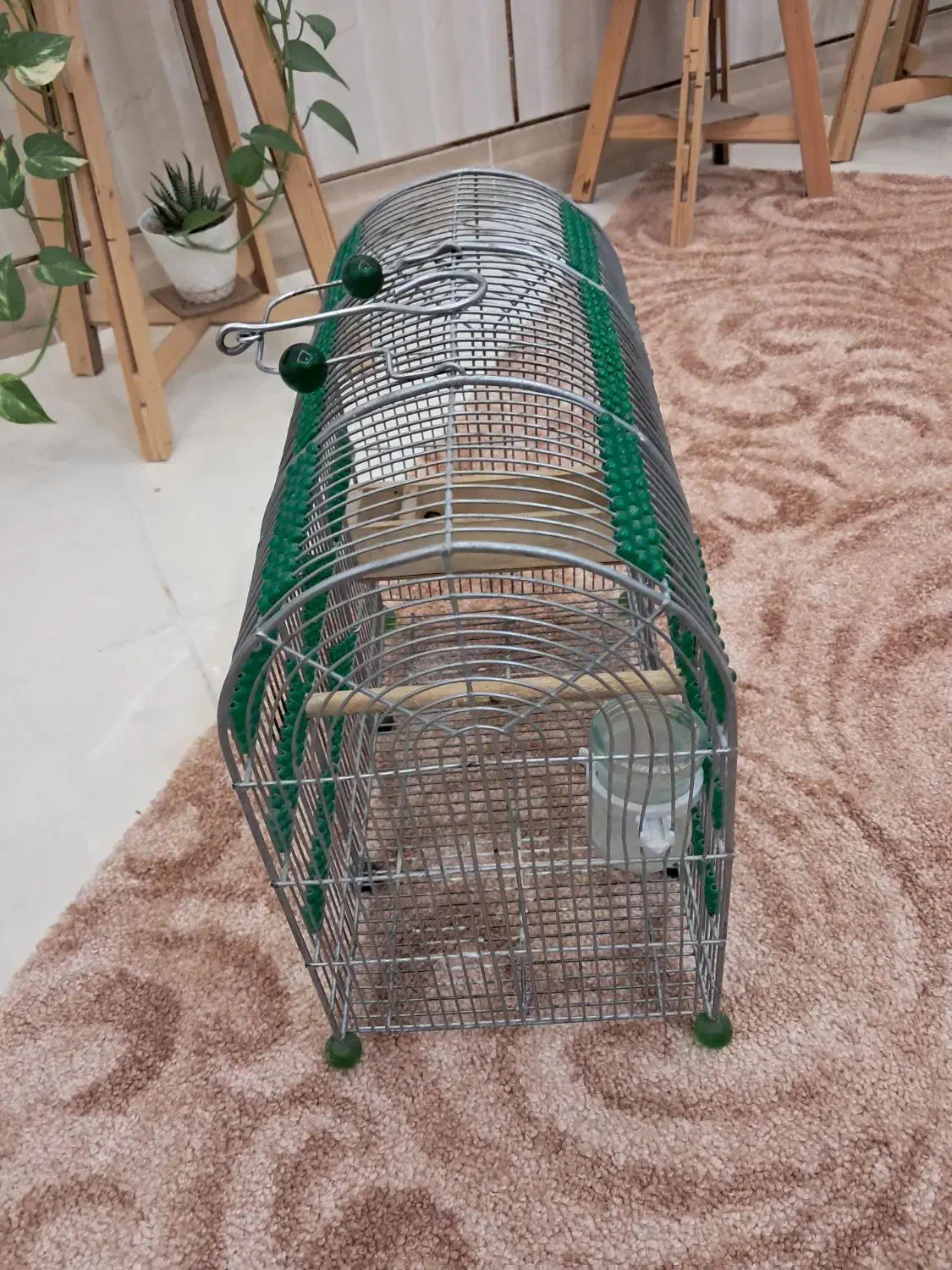 قفس سهره دست ساز مهره سبز|لوازم جانبی حیوانات|مرودشت, ثبت احوال|دیوار