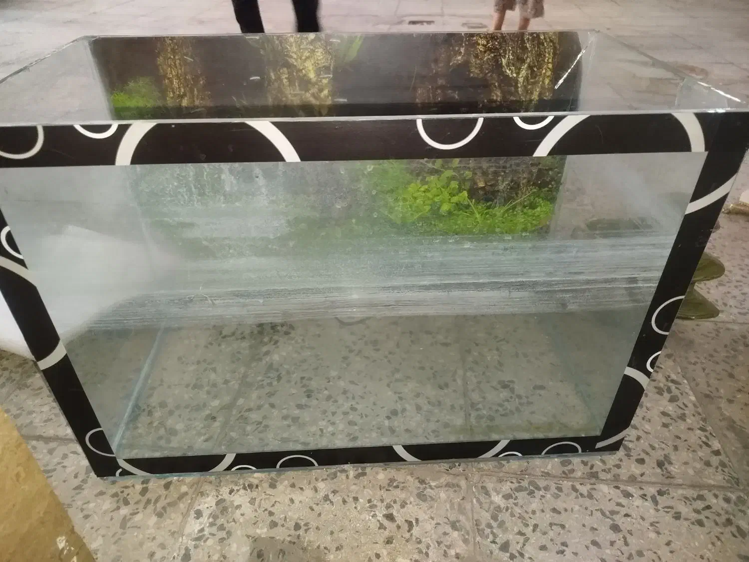 آکواریوم همراه پمپ و تزیینات|ماهی|ملایر, |دیوار