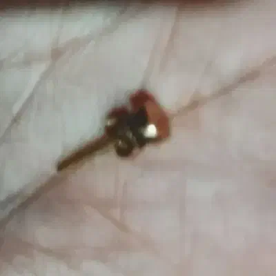 گوشواره گم شده|جواهرات|ملایر, |دیوار