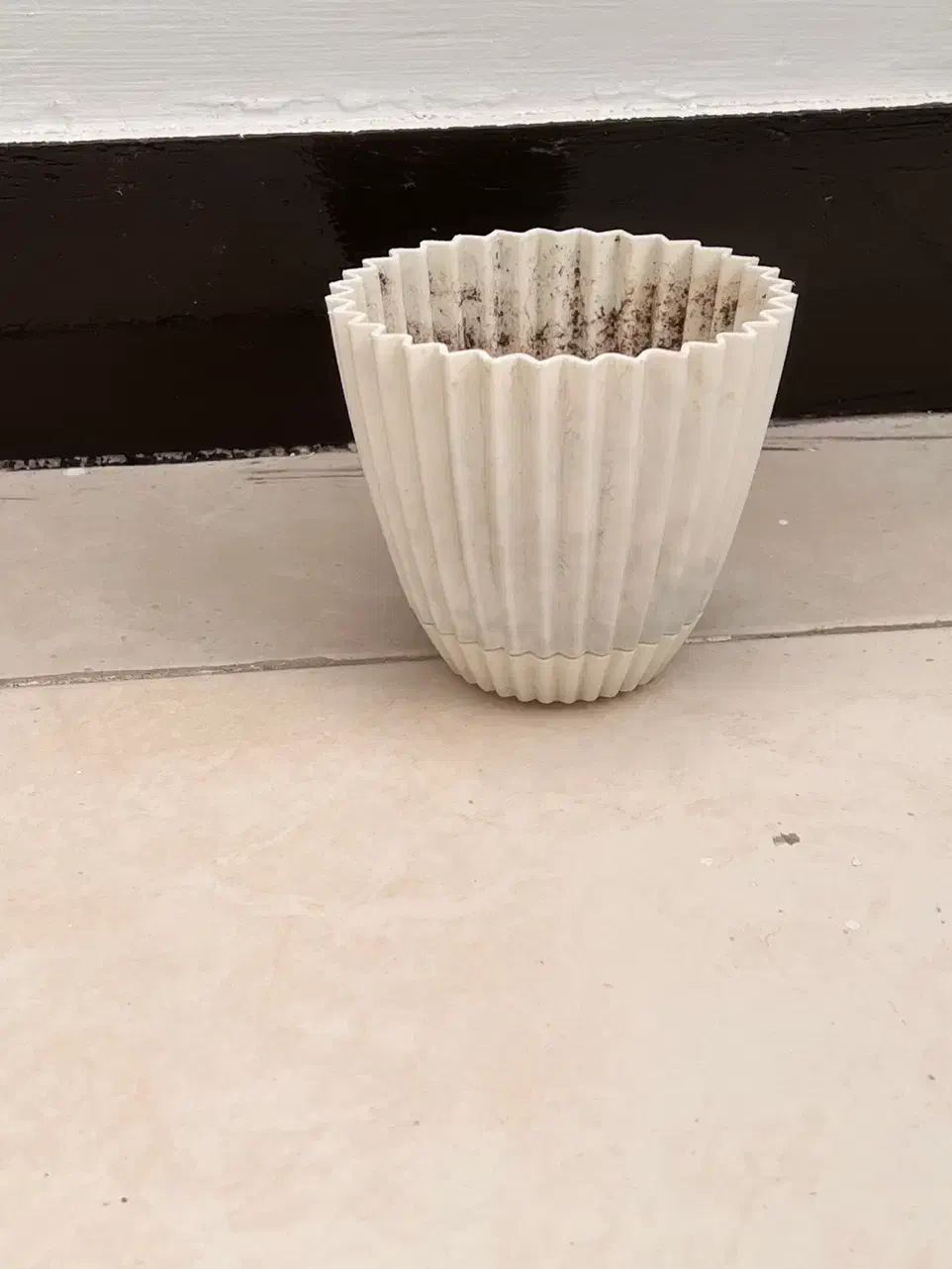 گلدان|گل و گیاه طبیعی|اهواز, کوی نفت|دیوار