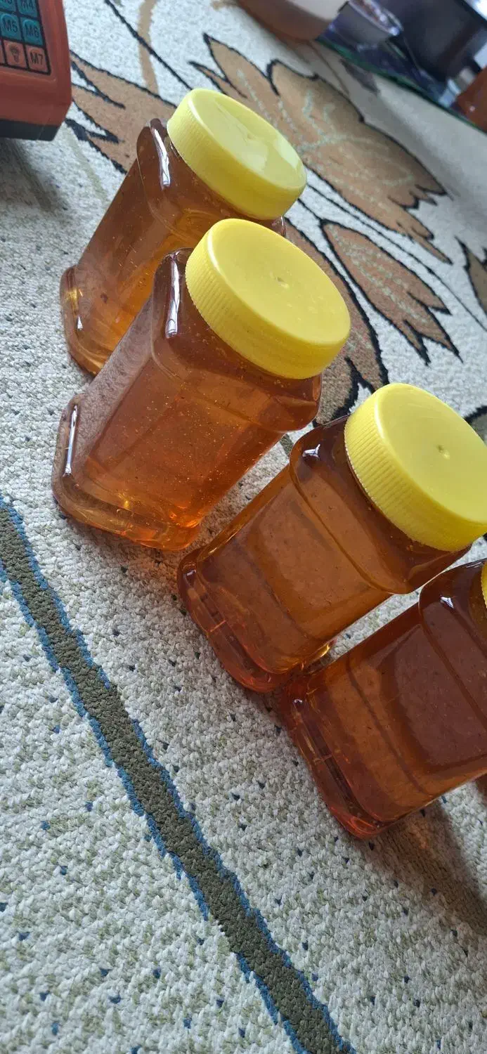 عسل طبیعی گون خرم اباد|خوردنی و آشامیدنی|تهران, نمایشگاه بین المللی|دیوار