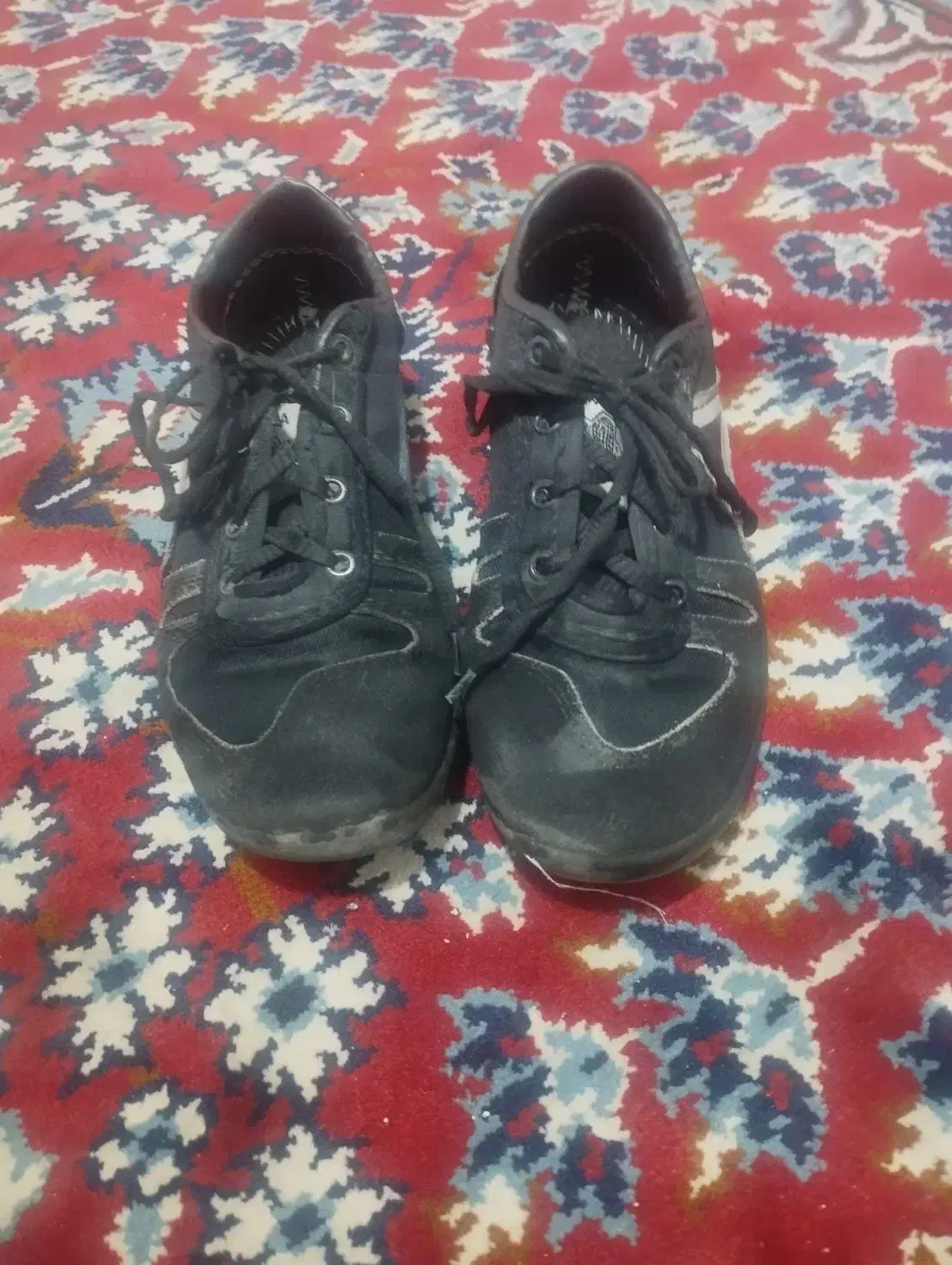 درحد نو|ورزشهای توپی|زنجان, |دیوار