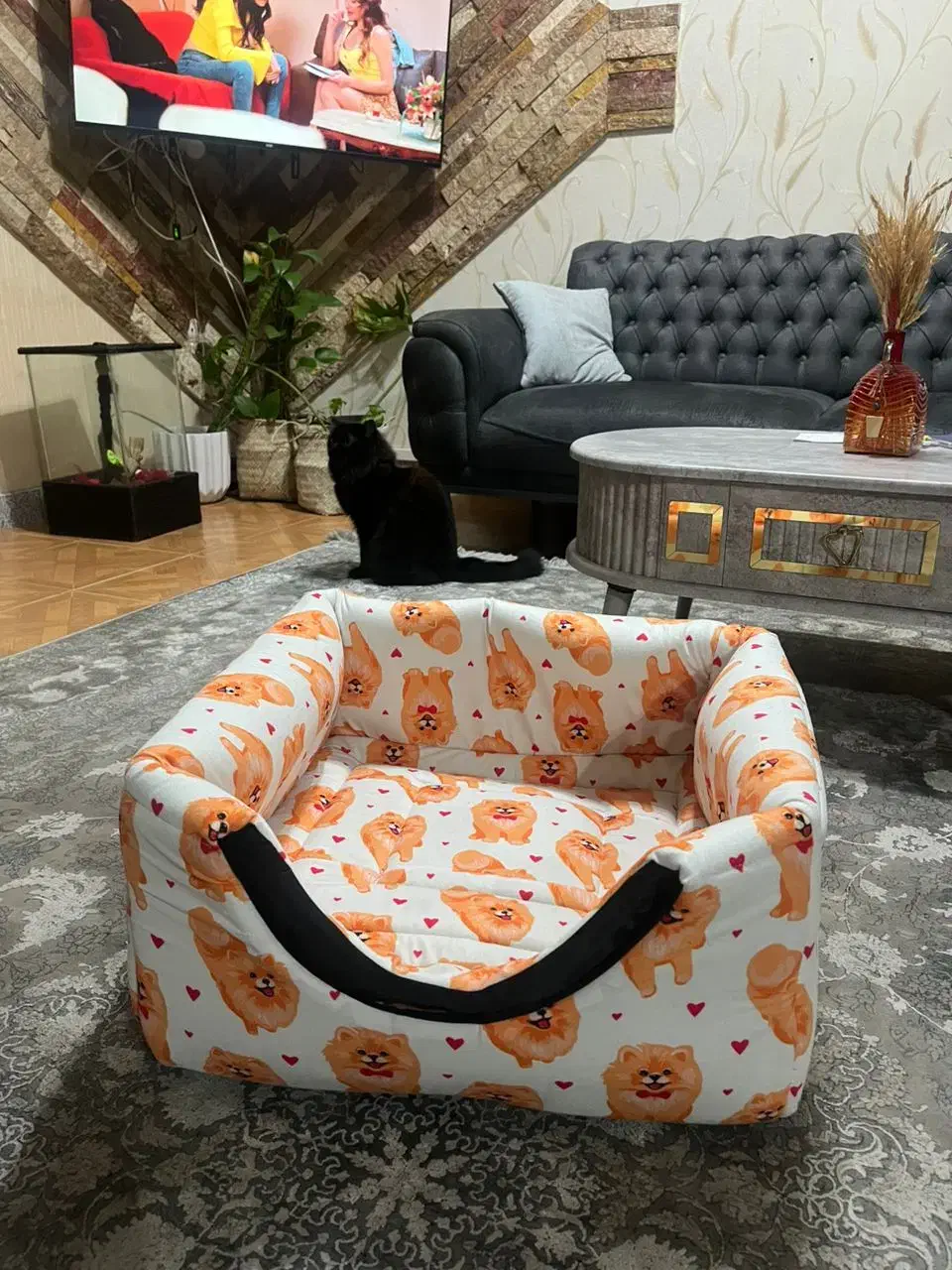 تشک دو حالت حیوان خانگی|لوازم جانبی حیوانات|رشت, حمیدیان|دیوار