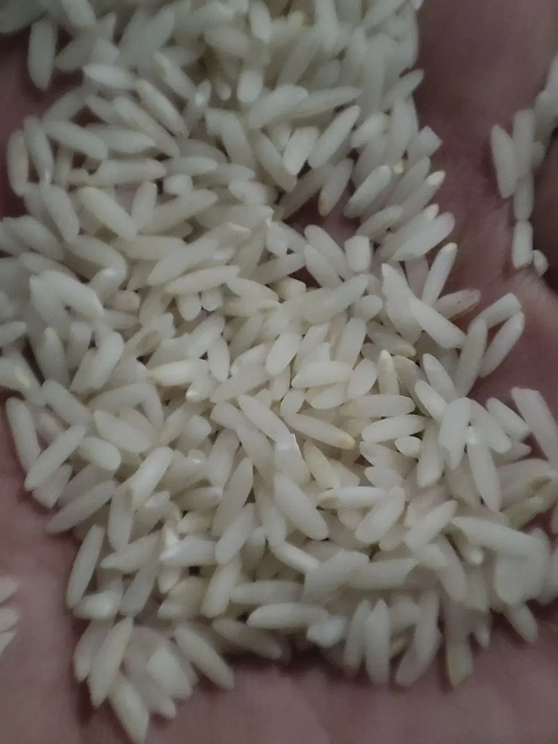 برنج دورود، نخود، لوبیا،|خوردنی و آشامیدنی|محلات, |دیوار