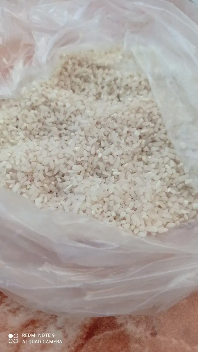 نیم دانه هاشمی|خوردنی و آشامیدنی|پارسآباد, |دیوار