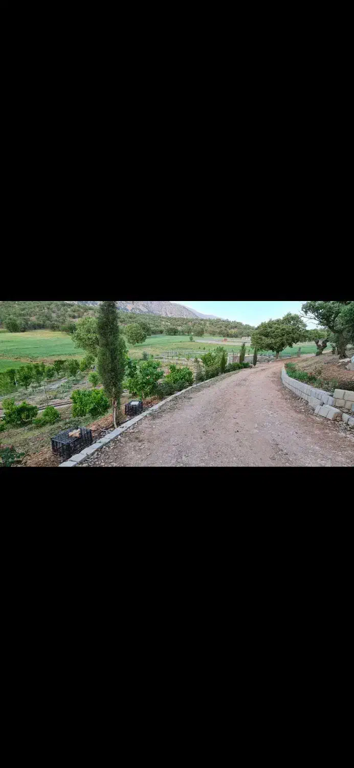 فروش زمین|فروش دفتر صنعتی، کشاورزی، تجاری|یاسوج, |دیوار